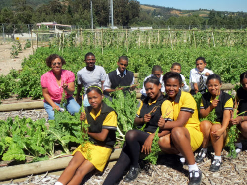 Organic Food Garden