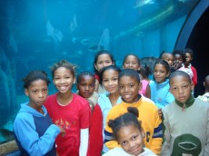 Visual Literacy children visit the aquarium
